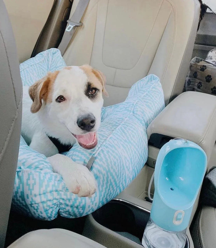 46671676565658_.pic_07e35706-09ea-40d2-b296-3b1eddd450b1 - Nai Pet Store