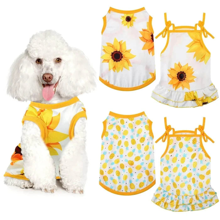 Cute poodle in sunflower and pineapple print dog dresses, perfect for summer pet fashion.