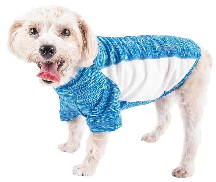 Happy small dog wearing blue and white cooling vest for pets, ideal for summer walks and outdoor activities.
