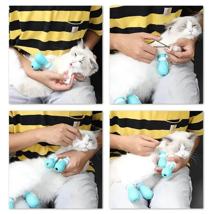 0W4UjhoEu2tXRvdN - Nai Pet Store