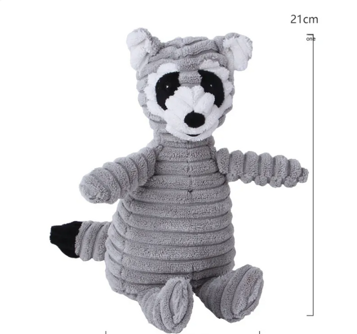 Raccoon