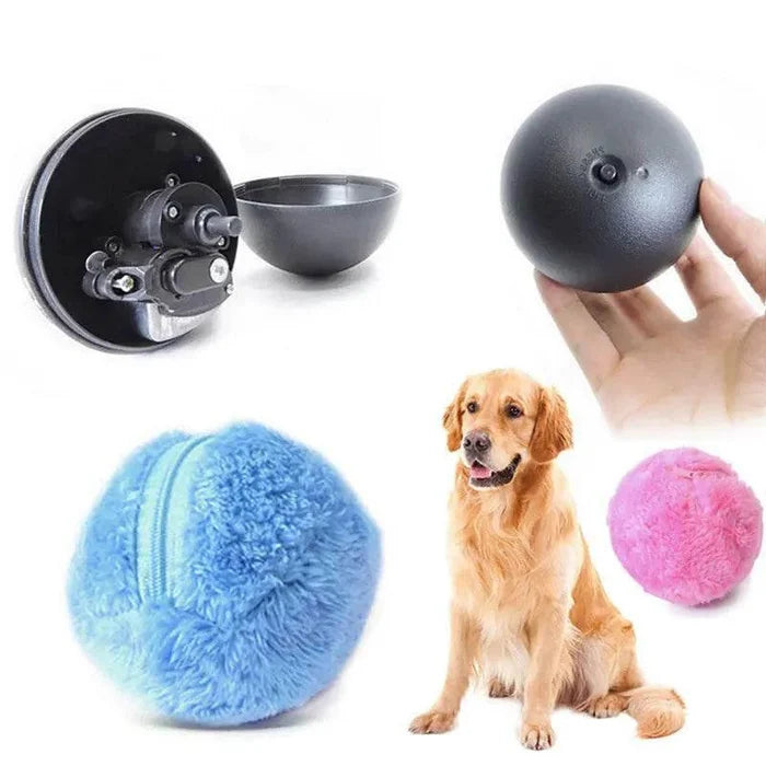 RKK8fe9HSrja9XIW - Nai Pet Store