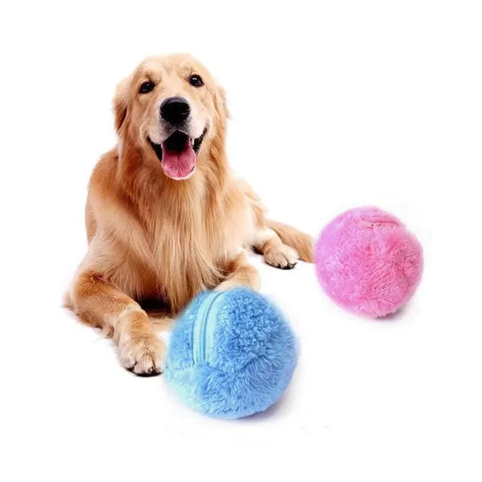WuvxhVjzBktWUJjg - Nai Pet Store