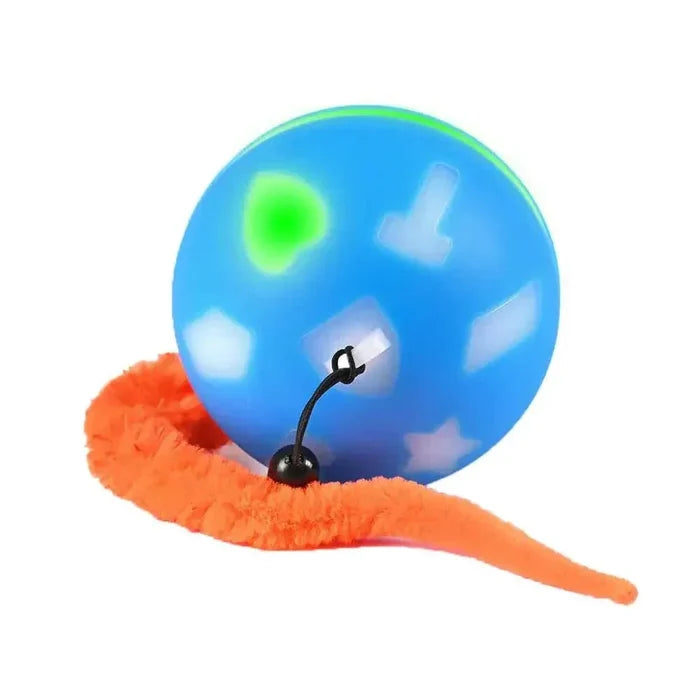 lQrJ6bCPF0ft06xS - Nai Pet Store
