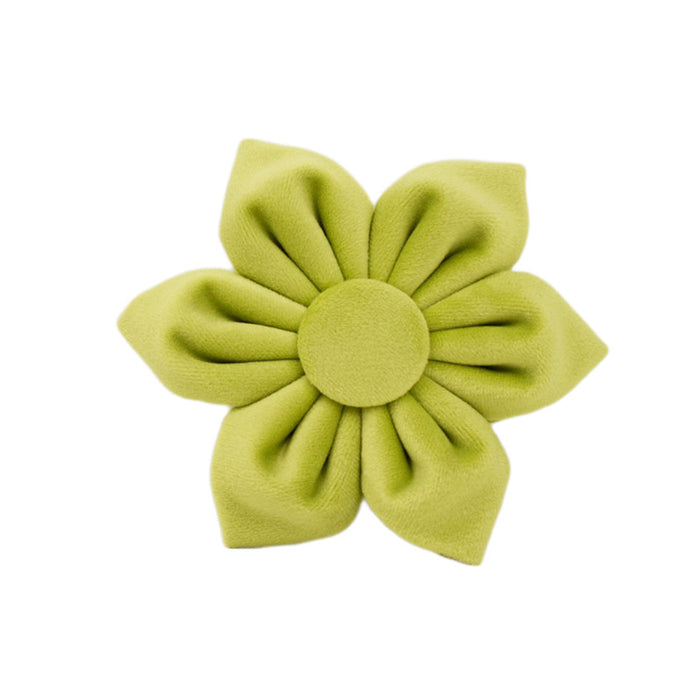 Avocado Velvet Dog Collar Set | Bow, Vest, Leash, Flower & More | XS–XL