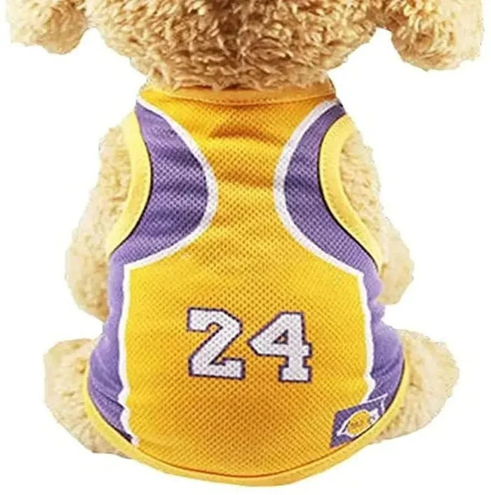 Dog wearing yellow and purple basketball jersey with number 24, pet apparel for small dogs
