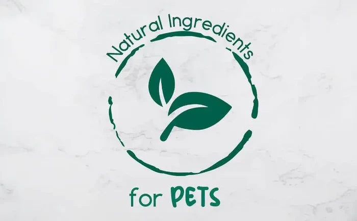 vAdAGhEe9DJOvYt - Nai Pet Store