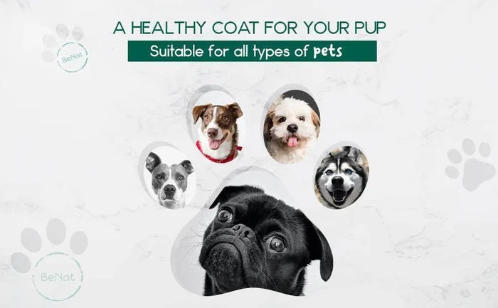 QX31UYnAYSURfda - Nai Pet Store