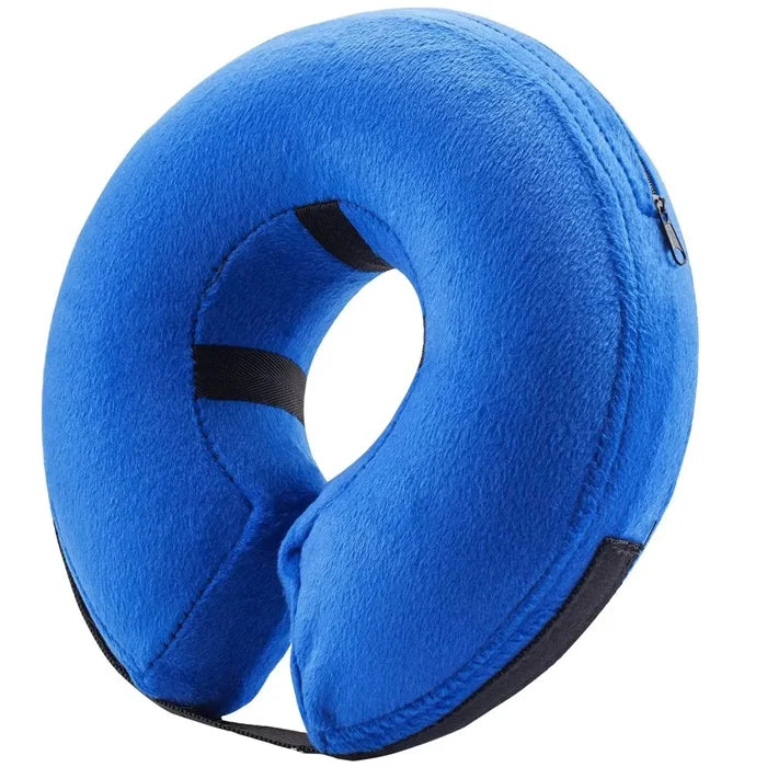 fEYoxKI2qpC1DWxf - Nai Pet Store