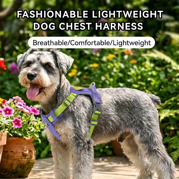 Black Dog Chest Harness Adjustable Buckle