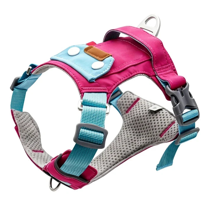 Black Dog Chest Harness Adjustable Buckle