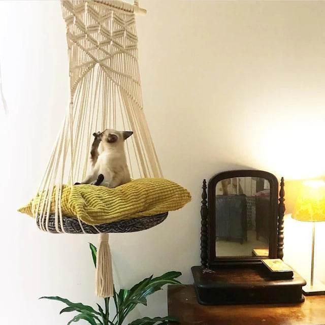 0gtvlfl9dg3904ny - Nai Pet Store