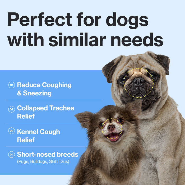 Breath Care for Dogs - Respiratory & Cough Support