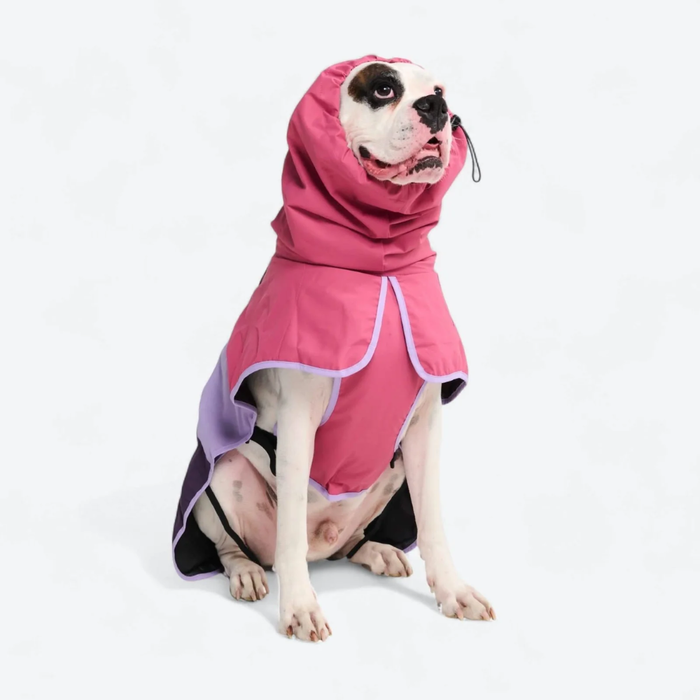 Dog Raincoat - Pink Lilac Purple||size:S,M,L,XL,2XL,3XL,4XL