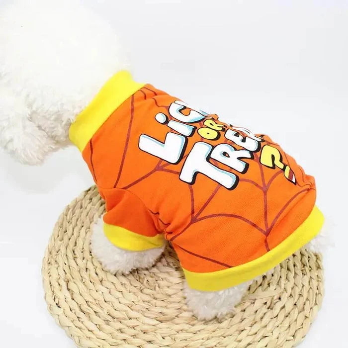 Orange Halloween dog shirt with 'Trick or Treat' print and spiderweb design, perfect for festive pet outfits.