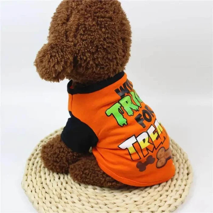 Brown dog in orange Halloween 'Trick or Treat' shirt on woven mat