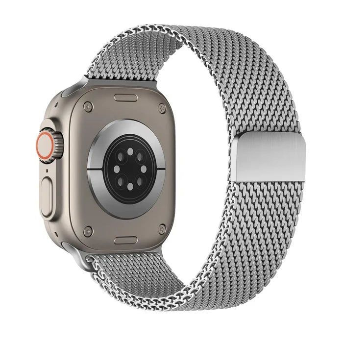 Silvery / (Series1/2/3)42/44/45/46/49mm