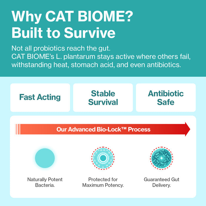 Cat Biome for Cats Anti-Diarrhea Gut Health Support