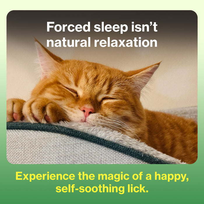 Cat Calming for Cats Stress Support L-Tryptophan