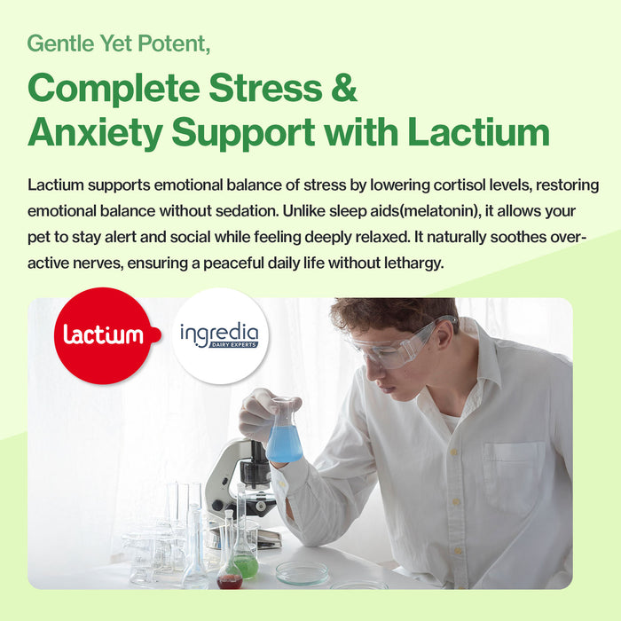 Cat Calming for Cats Stress Support L-Tryptophan