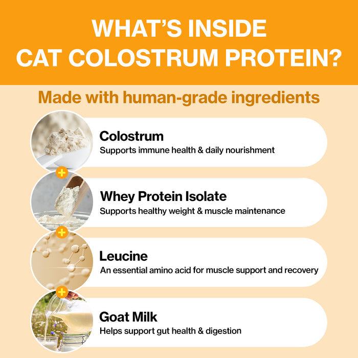 Cat Colostrum Protein for Cats Immune & Muscle Support