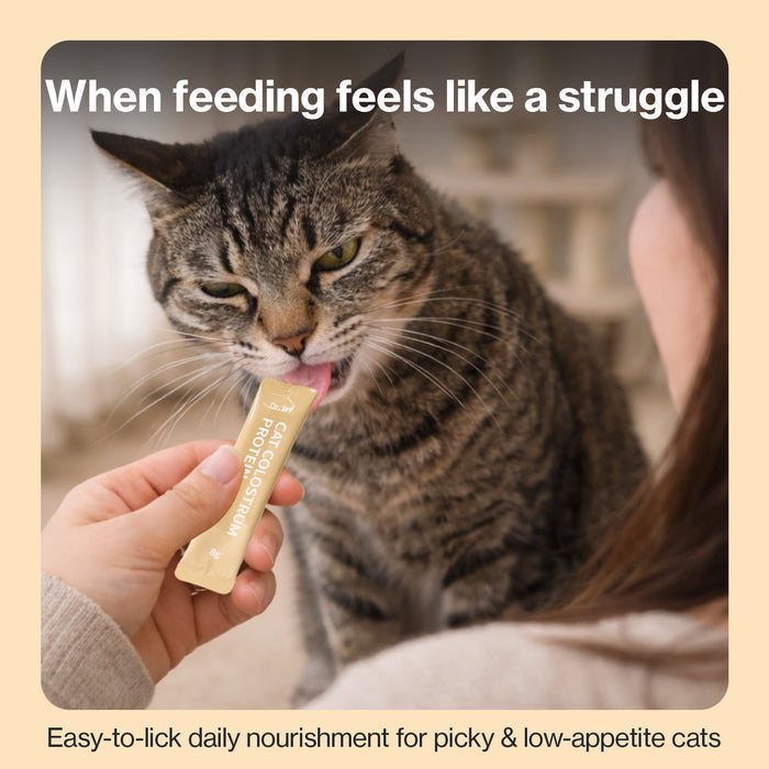 Cat Colostrum Protein for Cats Immune & Muscle Support