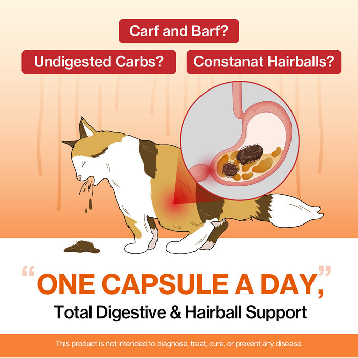 Cat Enzymes Swift for Cat Vomiting Care Support