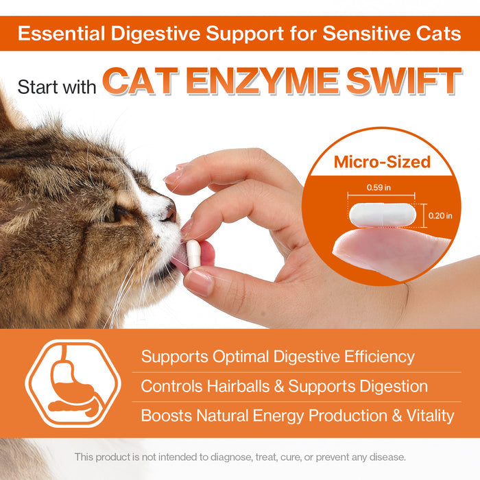 Cat Enzymes Swift for Cat Vomiting Care Support
