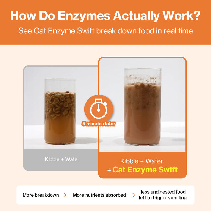 Cat Enzymes Swift for Cat Vomiting Care Support