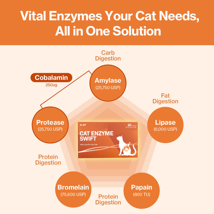 Cat Enzymes Swift for Cat Vomiting Care Support