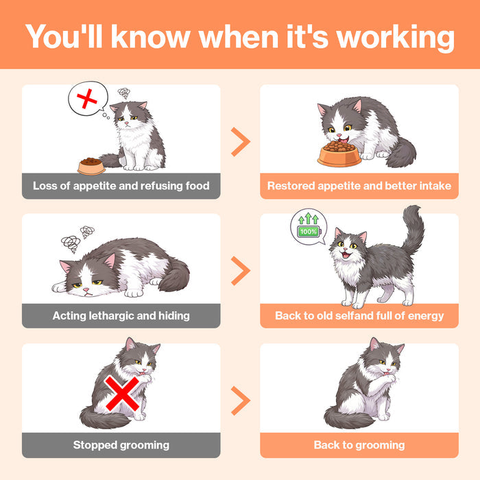 Cat Liver Guard for Cats Hepatic Support