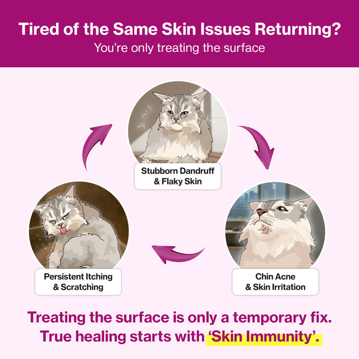 Cat Silk Derma for Cats Skin & Coat Health Support