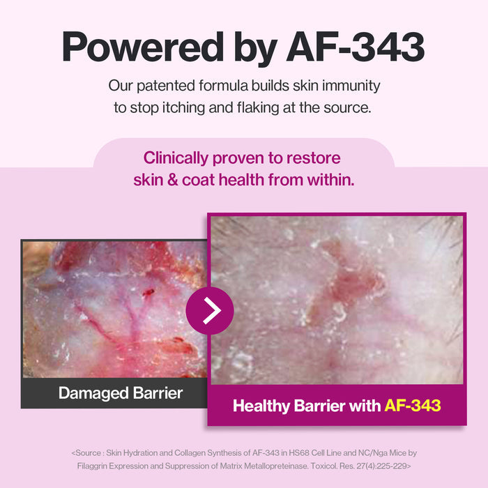 Cat Silk Derma for Cats Skin & Coat Health Support