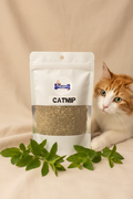 Catnip