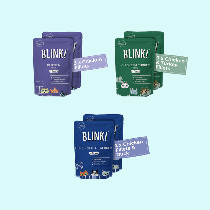 Chicken Fillet Recipes in Gravy 8 x 85g
