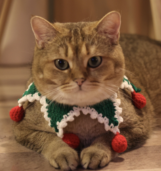 Christmas Pet Collar with Star Design – Handmade