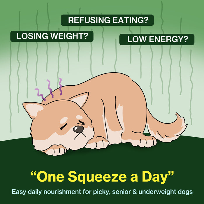 Colostrum Protein for Dogs - Weight Gain & Immune Support
