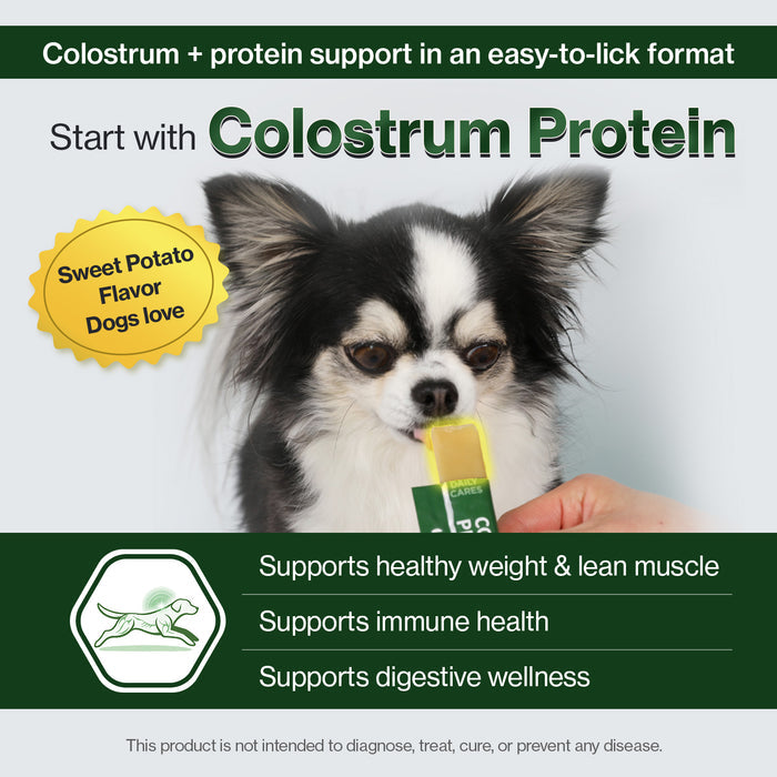 Colostrum Protein for Dogs - Weight Gain & Immune Support