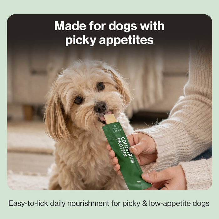 Colostrum Protein for Dogs - Weight Gain & Immune Support