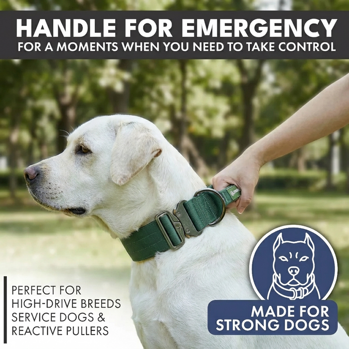 Green Collar