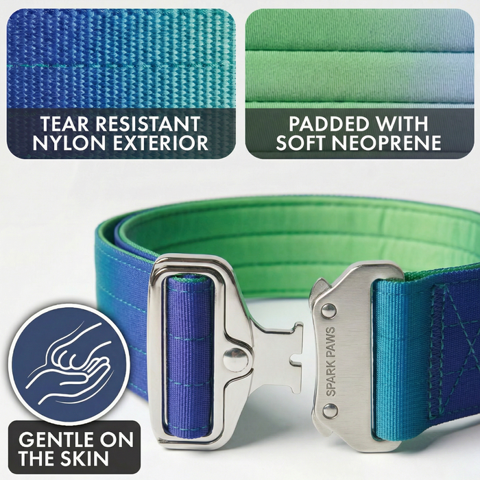 Lime Wave Collar