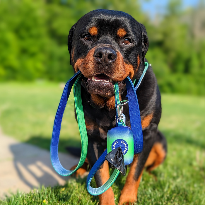 Lime Wave Collar