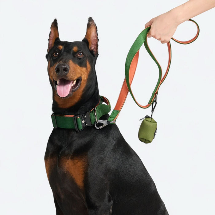 Green Orange Collar / 2"/5cm / S