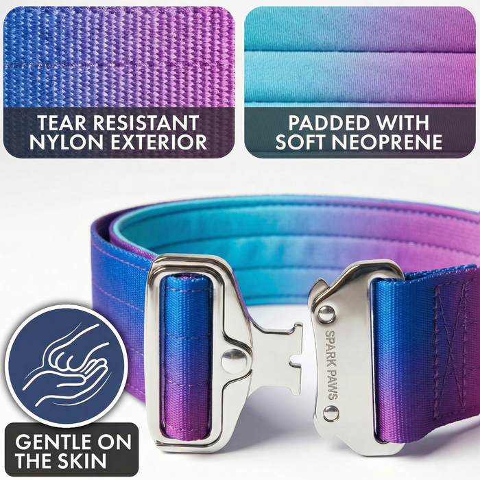 90s Retro Collar