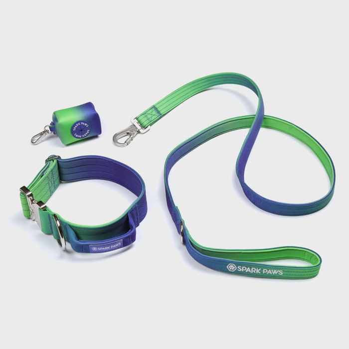 Lime Wave Collar / 2"/5cm / S