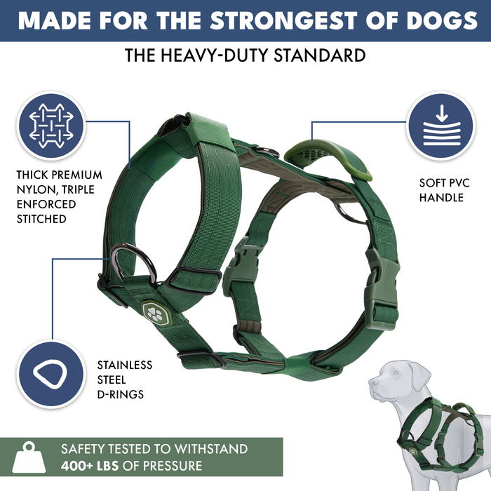 Green Harness