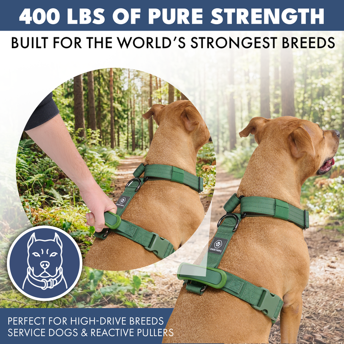 Green Harness