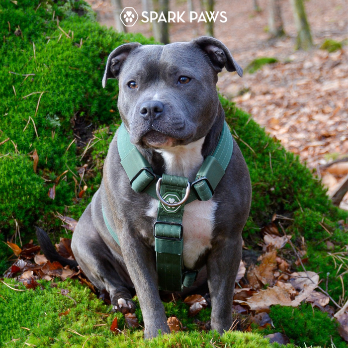 Green Harness