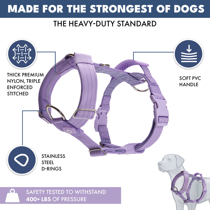 Lilac Harness
