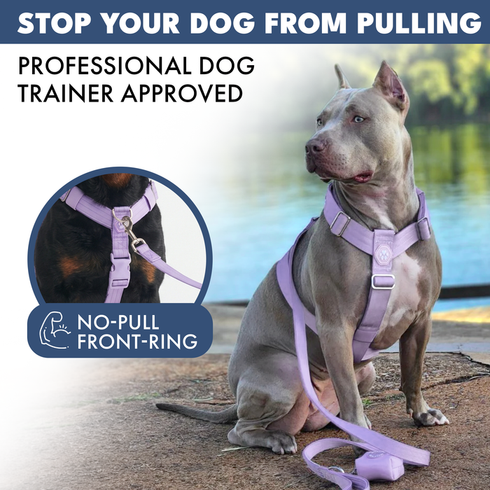 Lilac Harness
